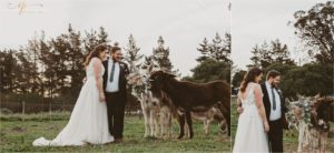 "Kosie & Sannie" Love - Susann & Kobus