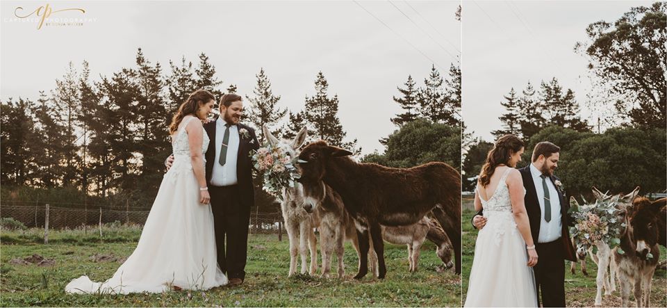 "Kosie & Sannie" Love - Susann & Kobus