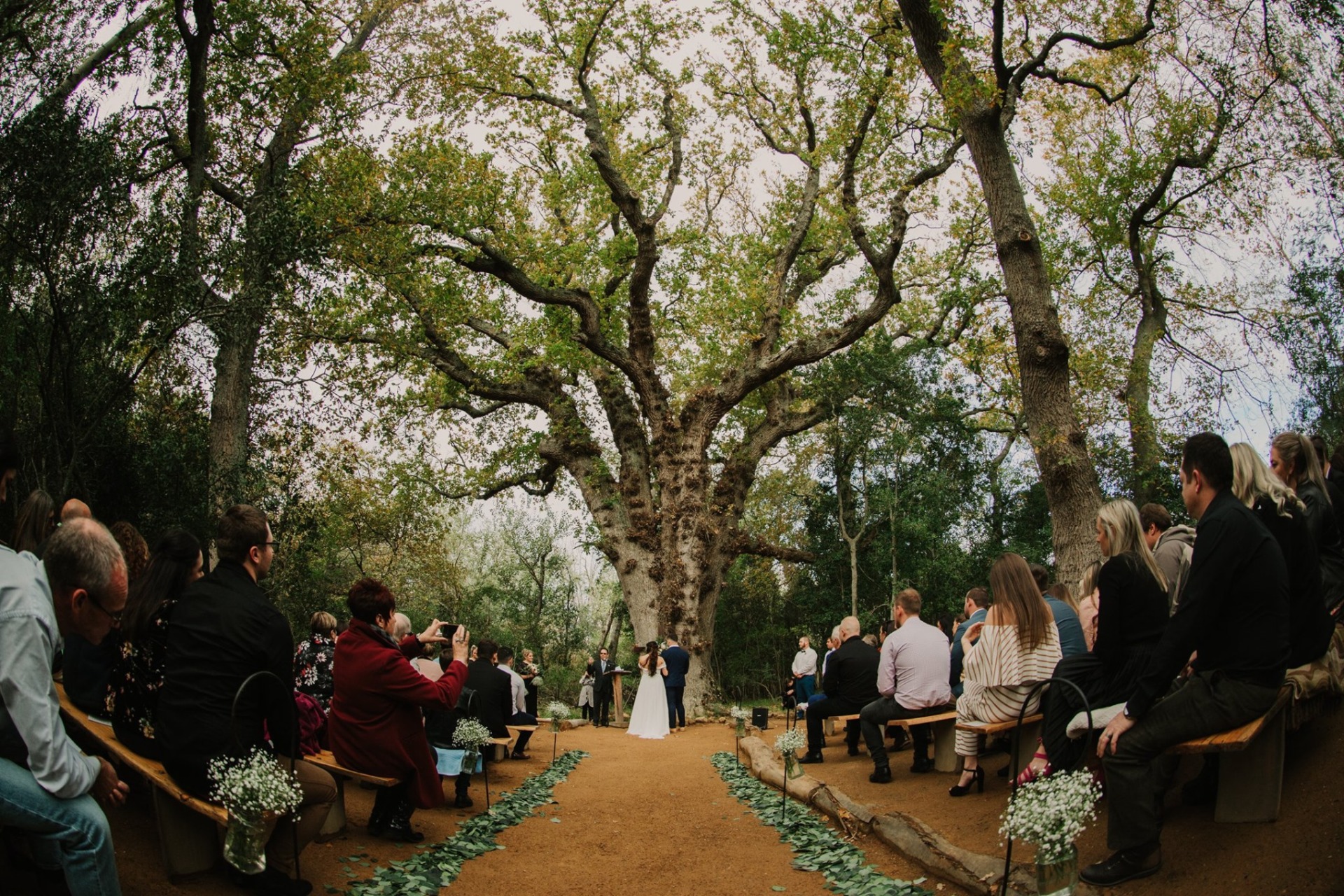 Forest Wedding