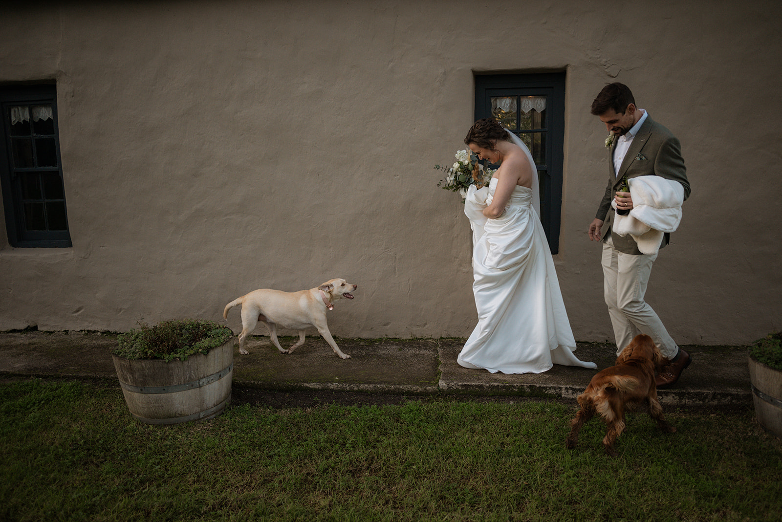 pet-friendly-wedding-venue