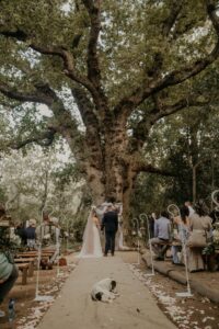 R&L19-03-22(406of1147)